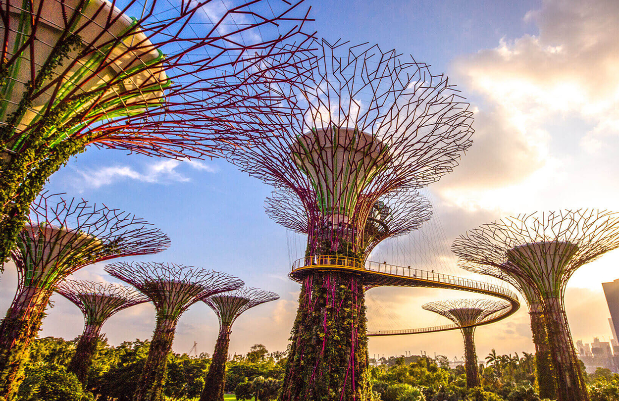 Attractions near Mount Elizabeth Novena Hospital Singapore