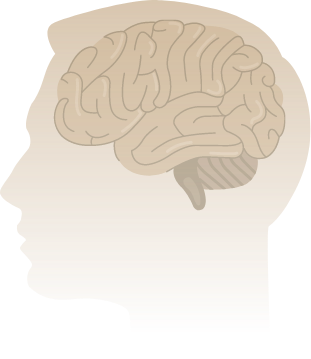 head placeholder