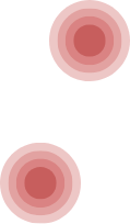 Back of head or neck area